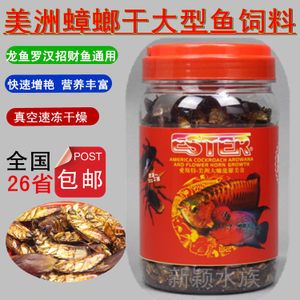 龍魚和招財(cái)魚的飼料選擇（招財(cái)魚和龍魚可以為同樣的飼料嗎？） 龍魚百科 第1張