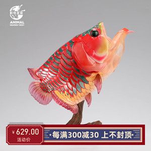 龍魚浮在水面老張嘴的原因（龍魚浮在水面并頻繁張嘴可能由多種因素引起以下因素引起） 龍魚百科 第2張