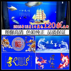 龍魚缸最佳背景顏色選擇指南（如何選擇龍魚缸的背景顏色）