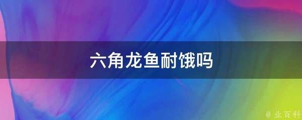 龍魚耐餓嗎（龍魚具有一定的耐餓能力但長(zhǎng)時(shí)間饑餓對(duì)它們的健康不利）