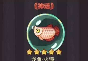 龍魚微信群（加入龍魚微信群需要注意什么？） 龍魚百科 第4張