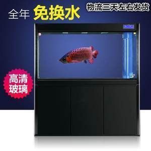 龍魚爬缸甩頭怎么回事（龍魚趴缸甩頭可能由多種原因引起）