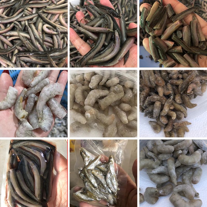 龍魚飼料自制（關(guān)于自制龍魚飼料的方法和注意事項(xiàng)） 龍魚百科 第3張