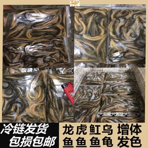 龍魚如何喂凍的泥鰍段（喂養(yǎng)龍魚凍的泥鰍段的詳細(xì)步驟） 龍魚百科 第3張