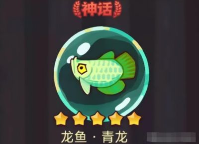 龍魚佩戴什么地方最好（風(fēng)水學(xué)中的擺放位置） 龍魚百科 第4張