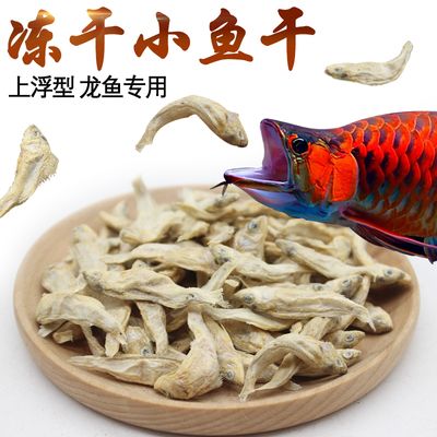 龍魚能不能吃曬干的小魚干（曬干的小魚干可以作為龍魚的補(bǔ)充食品嗎？） 龍魚百科 第4張