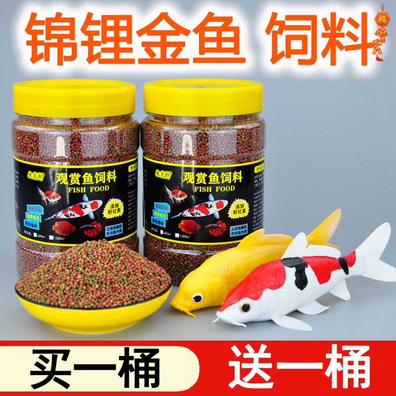 龍魚能吃錦鯉的魚糧嗎（龍魚可以吃錦鯉的魚糧嗎？）