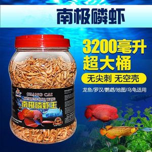 龍魚喂魚飼料行嗎（喂養(yǎng)龍魚飼料是一種可行的方法，龍魚喂魚飼料是一種可行的方法） 龍魚百科 第1張