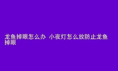 龍魚夜燈放在什么位置（關(guān)于龍魚夜燈的最佳擺放位置）