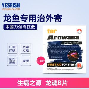 龍魚細菌感染用什么藥好（龍魚細菌感染用什么藥好呢） 龍魚百科 第2張