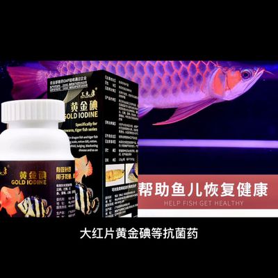 龍魚下黃粉有傷害嗎（黃粉對龍魚有傷害嗎） 龍魚百科 第2張