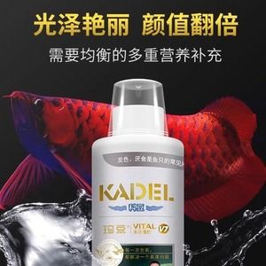 龍魚益生菌和維他命管用嗎（龍魚益生菌對(duì)龍魚的健康有多方面好處龍魚益生菌和維他命管用嗎）