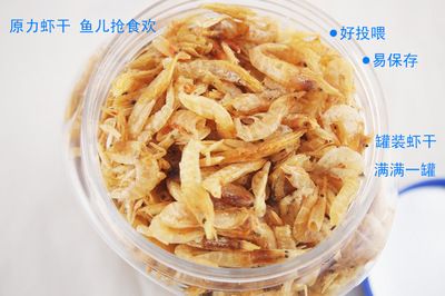 龍魚一直喂蝦干（龍魚一直喂蝦干會(huì)導(dǎo)致其生長(zhǎng)緩慢） 龍魚百科 第3張