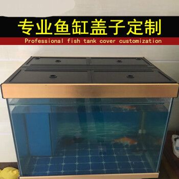 龍魚魚缸水面距魚缸蓋高度（龍魚魚缸水面距魚缸蓋的高度）