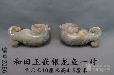 龍魚游動(dòng)時(shí)突然一抖為什么（龍魚游動(dòng)時(shí)突然一抖） 龍魚百科