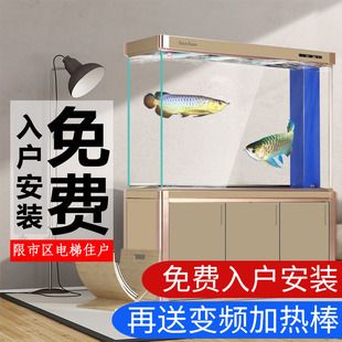 龍魚在缸底不動（龍魚為什么在缸底不動） 龍魚百科 第5張