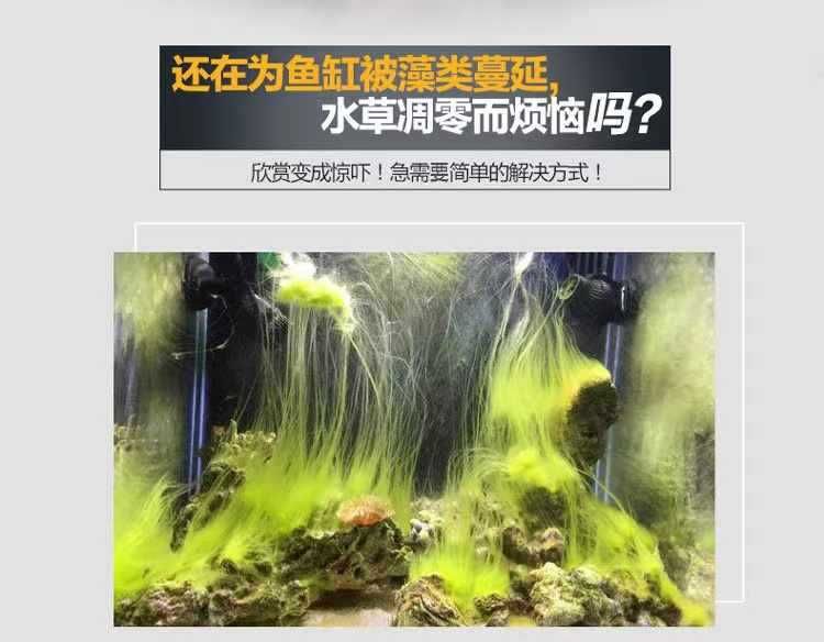 龍魚裝在袋子里不打氧能活多久（龍魚在袋子里不打氧的存活時間通常不超過一天） 龍魚百科 第4張