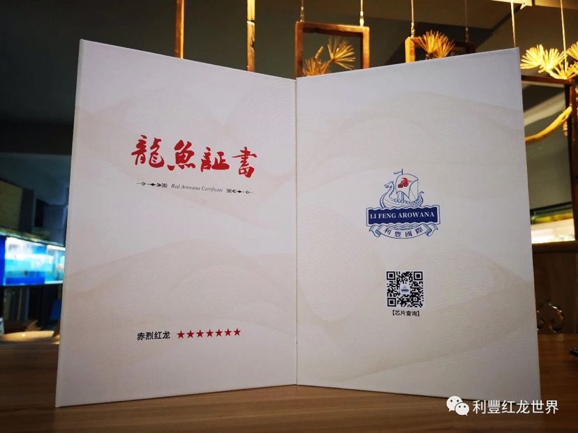 龍魚證書號(hào)碼查詢官網(wǎng)（如何查詢龍魚證書號(hào)碼） 龍魚百科 第5張