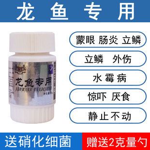 龍魚治腸炎用什么藥（龍魚治腸炎用什么藥龍魚腸炎治腸炎用什么藥） 龍魚百科 第5張