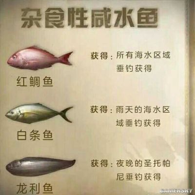 明日之后龍魚（《明日之后》如何在游戲中獲取龍魚以及龍魚用途） 龍魚百科 第5張