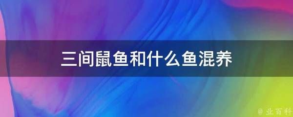 三間鼠魚可以跟金龍魚混養(yǎng)嗎（三間鼠魚與金龍魚可以混養(yǎng)嗎？） 龍魚百科 第5張