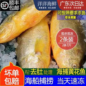 七彩金龍魚能喂海魚嗎（七彩金龍魚可以吃海魚嗎） 龍魚百科 第3張