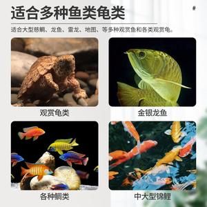 南極磷蝦能喂龍魚嗎（南極磷蝦是否適合喂養(yǎng)龍魚） 龍魚百科 第4張