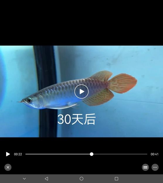 加了點(diǎn)科技大家看一下 有什么差別嗎（一個(gè)月的變化） 觀賞魚論壇 第3張