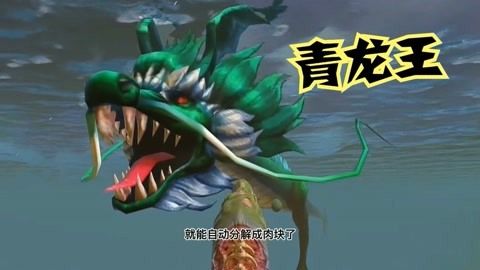 王龍魚的視頻（關(guān)于“王龍魚”的視頻） 龍魚百科 第3張