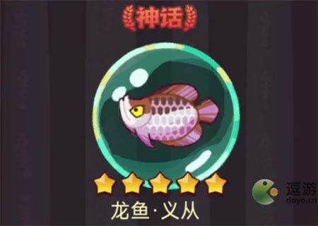 咸魚之王龍魚升星（《咸魚之王》升星龍魚是提升武將實力的重要途徑之一） 龍魚百科 第4張