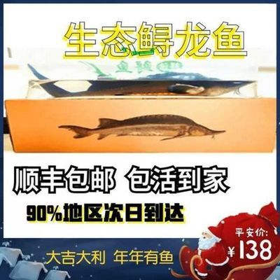 鱈龍魚多少錢一斤（目前未查詢到明確關(guān)于鱈龍魚多少錢一斤的信息） 龍魚百科 第4張