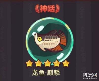 咸魚之王龍魚可以釣到嘛（《咸魚之王》可以通過釣魚的方式獲得龍魚青龍，需要注意的是） 龍魚百科 第3張