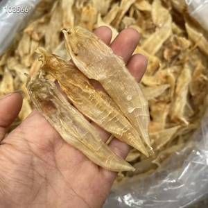 小金龍魚膠是什么魚的膠（女性身體里最重要的一個(gè)魚膠，女性平時(shí)多食用） 龍魚百科 第1張