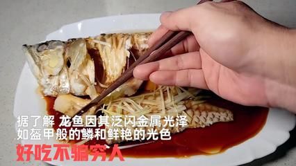 恐龍魚價格賺多少錢了（恐龍魚市場的未來趨勢是什么） 水族問答 第3張