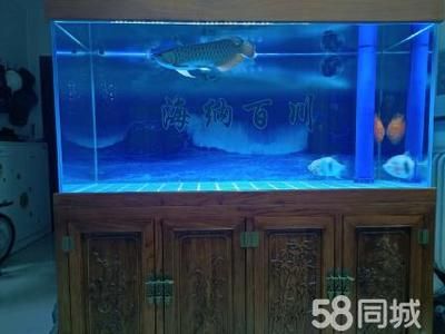 一米五魚缸養(yǎng)金龍魚可以嗎（一米五的魚缸可以養(yǎng)1-2條金龍魚，但需要注意什么） 龍魚百科 第4張