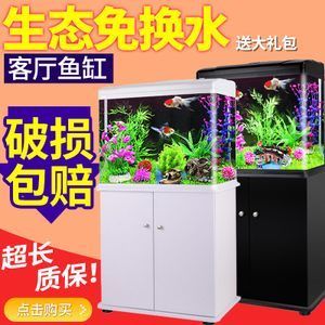 西龍魚缸廠家聯(lián)系方式 龍魚百科 第4張