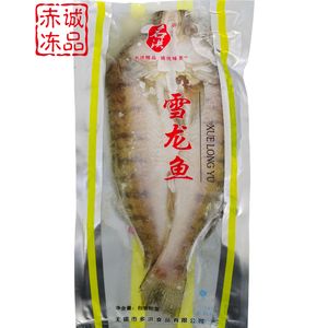 鱈龍魚(yú) 龍魚(yú)百科 第1張