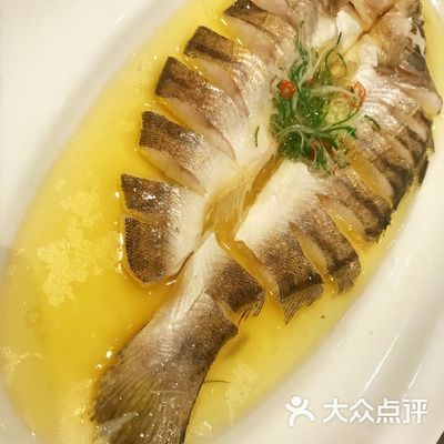 鱈龍魚(yú) 龍魚(yú)百科 第2張