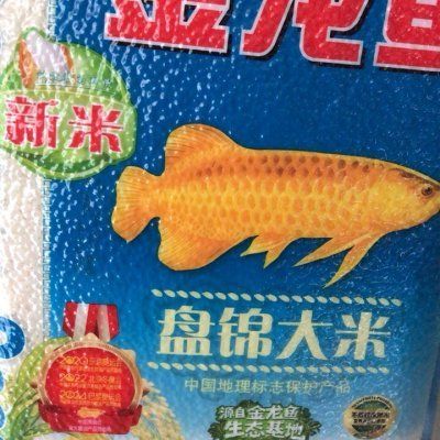 為什么不建議買金龍魚產(chǎn)品 龍魚百科 第1張