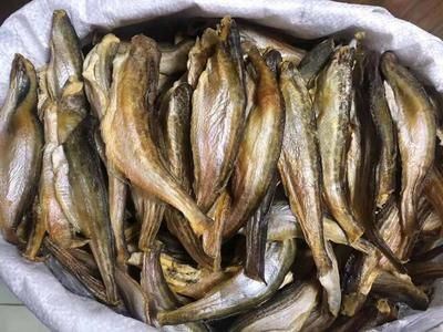 小龍魚批發(fā)（廣州祥龍魚場） 龍魚百科 第5張