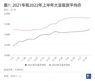 養(yǎng)金龍魚成本高嗎（養(yǎng)金龍魚的成本） 龍魚百科 第5張