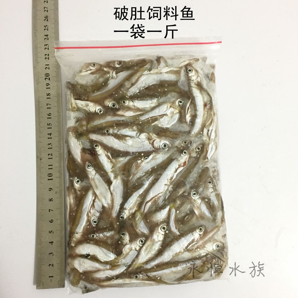 小河蝦跟蝦段哪個(gè)適合龍魚（小河蝦可以作為龍魚的合適食物嗎？） 龍魚百科 第3張