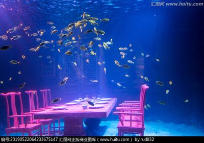 銀龍魚缸里可以造景嗎（銀龍魚缸可以造景嗎？） 龍魚百科 第3張