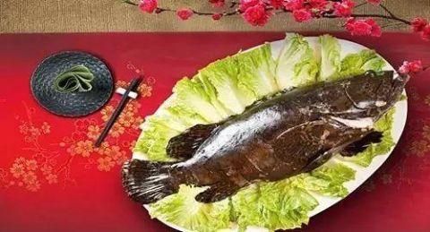 養(yǎng)龍魚珊瑚骨有好處嗎（珊瑚骨在養(yǎng)龍魚中的作用） 龍魚百科 第3張