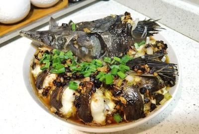 尋龍魚一般蒸多久（清蒸鱘龍魚的基本做法如下：清蒸鱘龍魚的基本做法） 龍魚百科 第2張