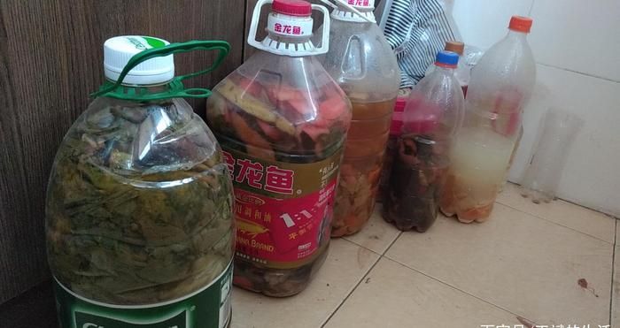 土龍魚的營養(yǎng)價值及功效（土龍魚中的維生素a和維生素e是強大的抗氧化劑的抗氧化劑）