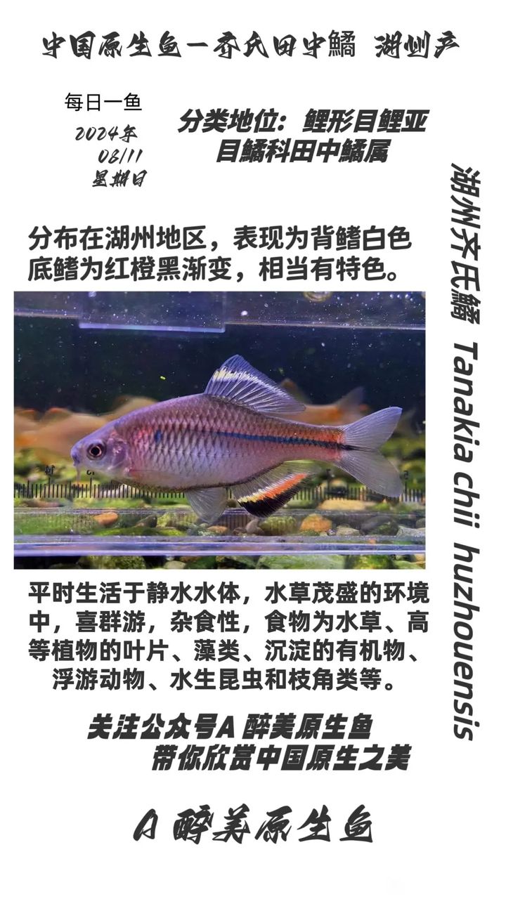 湖州齊氏鱊（湖南省湖南省湖南省湖南省湖南省湖南省湖南省湖南省湖南省湖南?。?></a><h4 class=