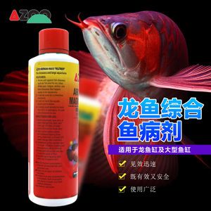 銀龍魚所需所有用品（銀龍魚所需的主要用品）