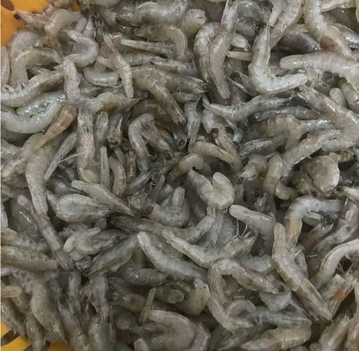 怎么給喂食龍魚的小魚消毒（喂食龍魚的小魚消毒是為了防止細(xì)菌、寄生蟲等病原體傳播給龍魚） 龍魚百科 第5張