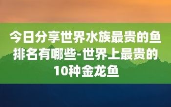 最貴的黃金龍魚多少錢一條圖片（最貴的黃金龍魚價(jià)格可以達(dá)到580萬(wàn)元人民幣） 龍魚百科 第4張